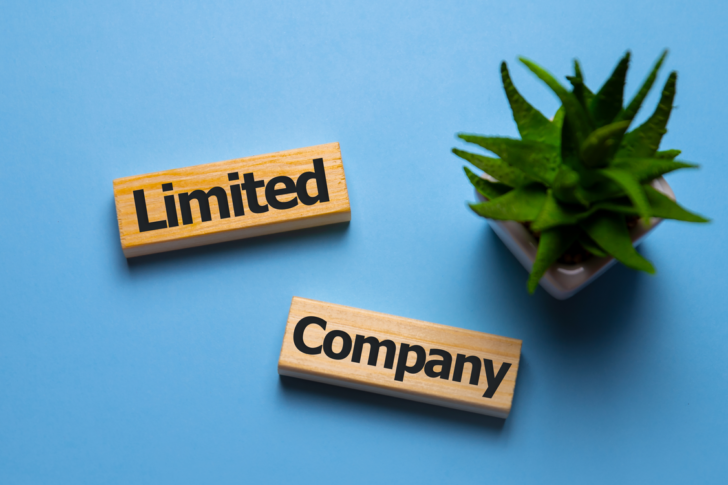 limited company formation